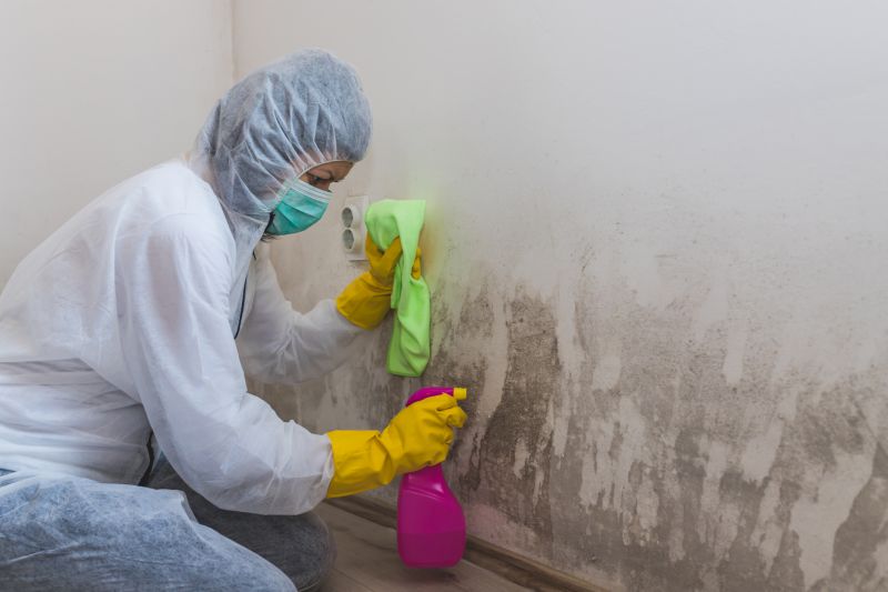 Air Duct Mold Removal in West Palm Beach, FL