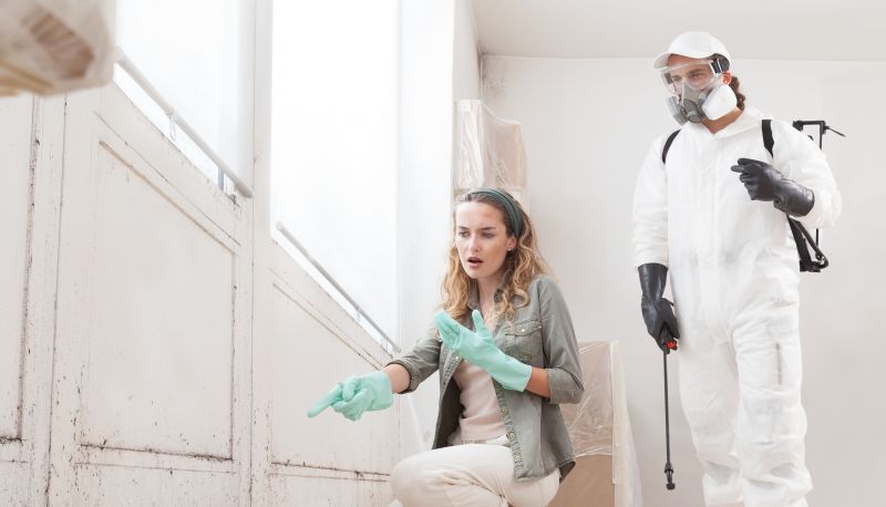 Attic Mold Remediation in Jupiter, FL