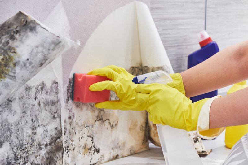 Basement Mold Remediation in Broward County, FL