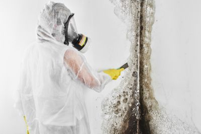 Basement Mold Removal in West Palm Beach, FL