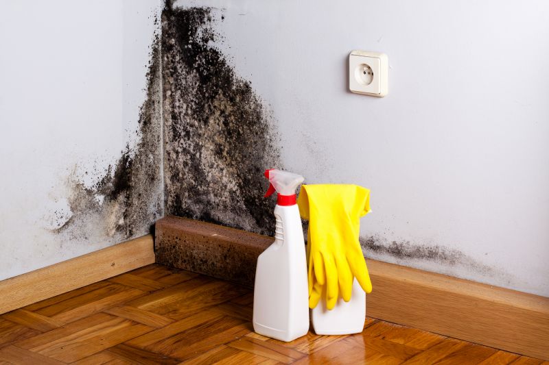 Basement Mold Removal in Broward County, FL
