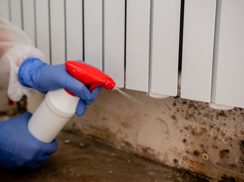 Basement Mold Removal in Fort Lauderdale, FL