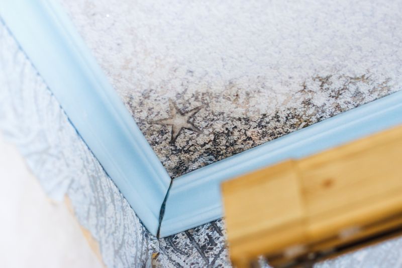 Black Mold Remediation in Fort Lauderdale, FL