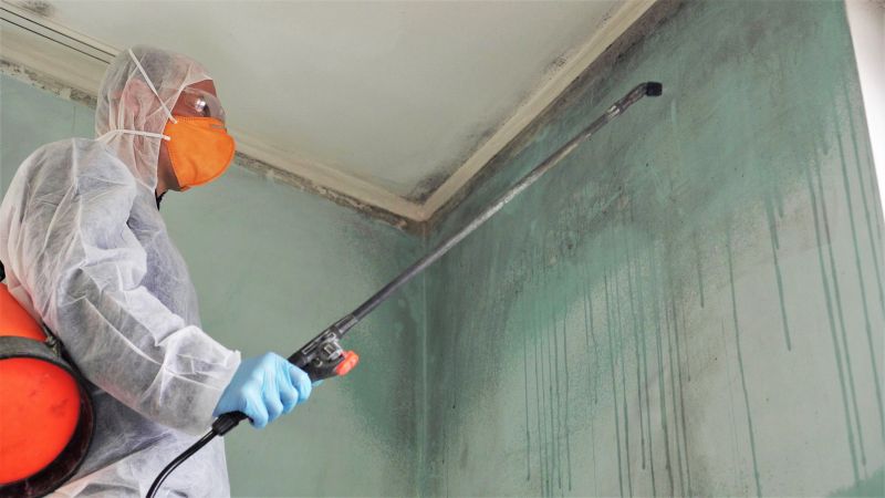 Black Mold Remediation in Essex County, NJ
