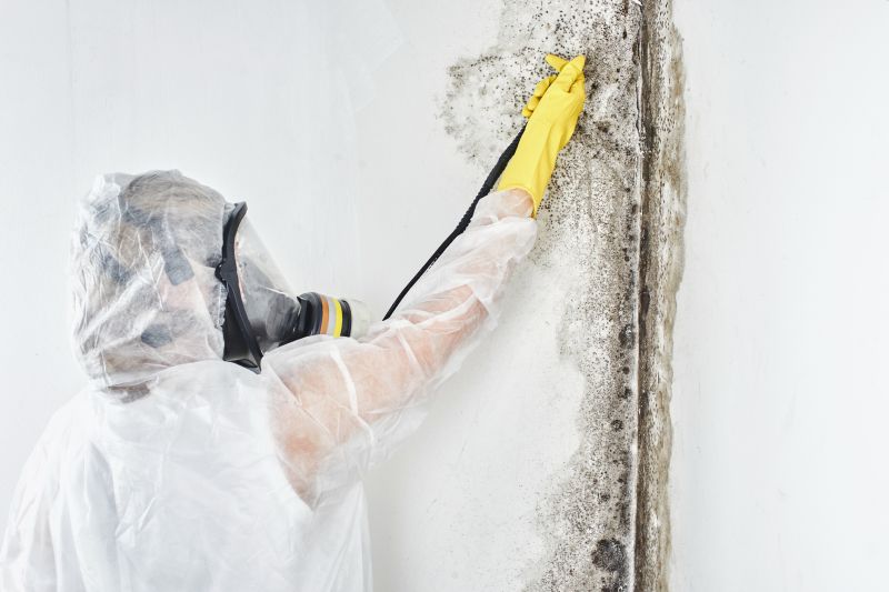 Black Mold Removal in Plano, TX