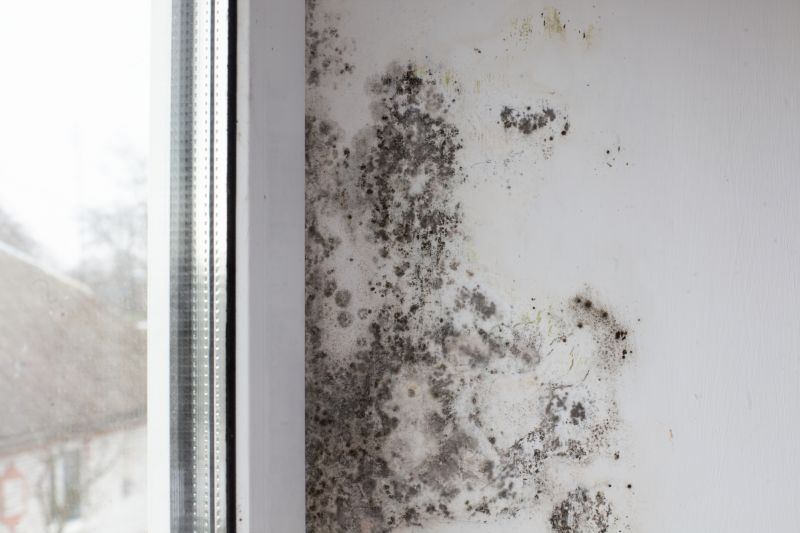 Ceiling Mold Removal in Fort Lauderdale, FL