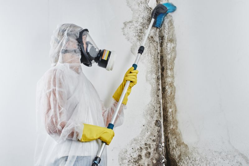 Ceiling Mold Removal in West Palm Beach, FL