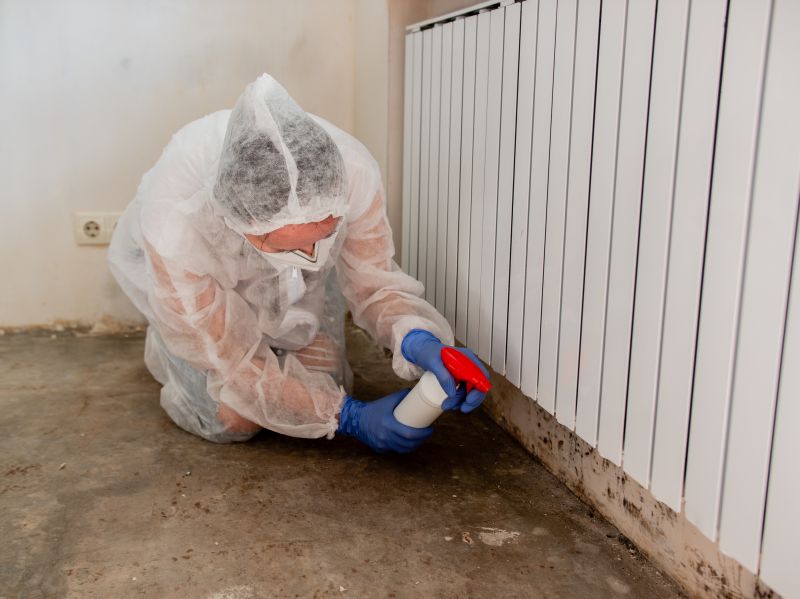 Crawl Space Mold Removal in Broward County, FL