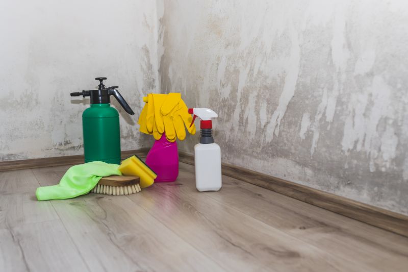 Crawlspace Mold Remediation in Frisco, TX