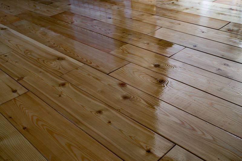 Hardwood Floor Polishing in Madison, WI