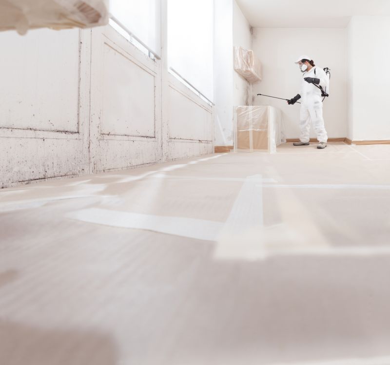 Mold Cleanup Service in Fort Lauderdale, FL
