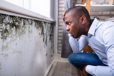 Mold Detection in Mckinney, TX