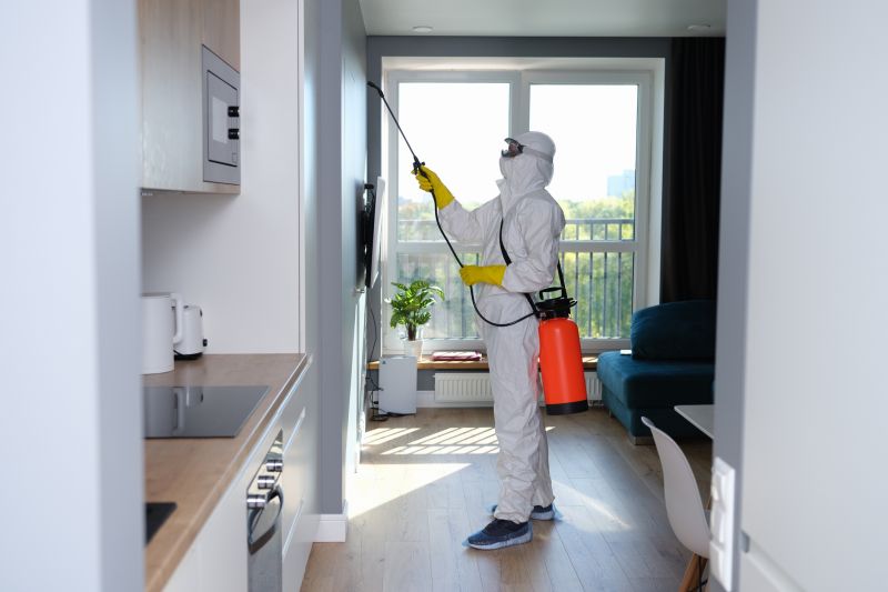 Mold Remediation Service in Broward County, FL