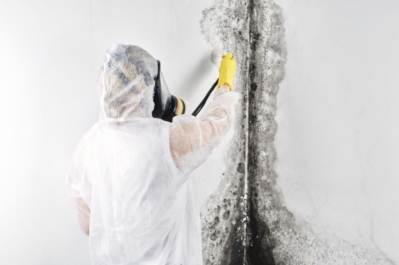 Mold Removal in Fort Worth, TX
