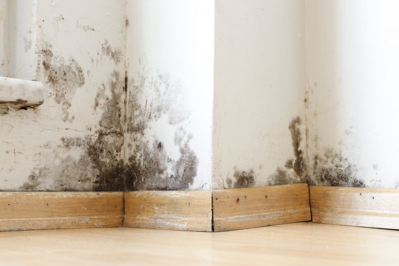 Mold Restoration in Jupiter, FL