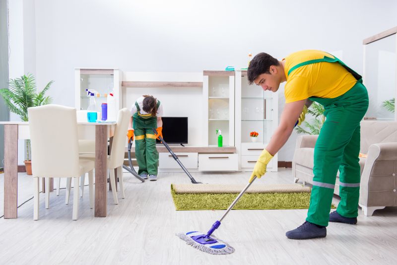 Reo Property Cleaning in Renton, WA