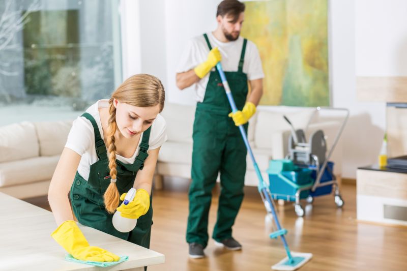 Reo Property Cleaning in Redmond, WA