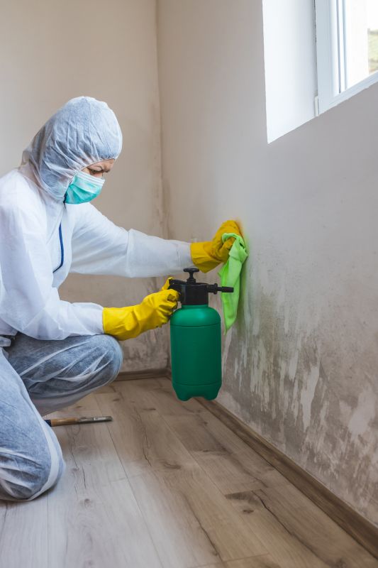 Crawl Space Mold Removal in Fort Lauderdale, FL
