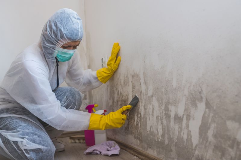 Mold Mitigation Service in Fort Worth, TX